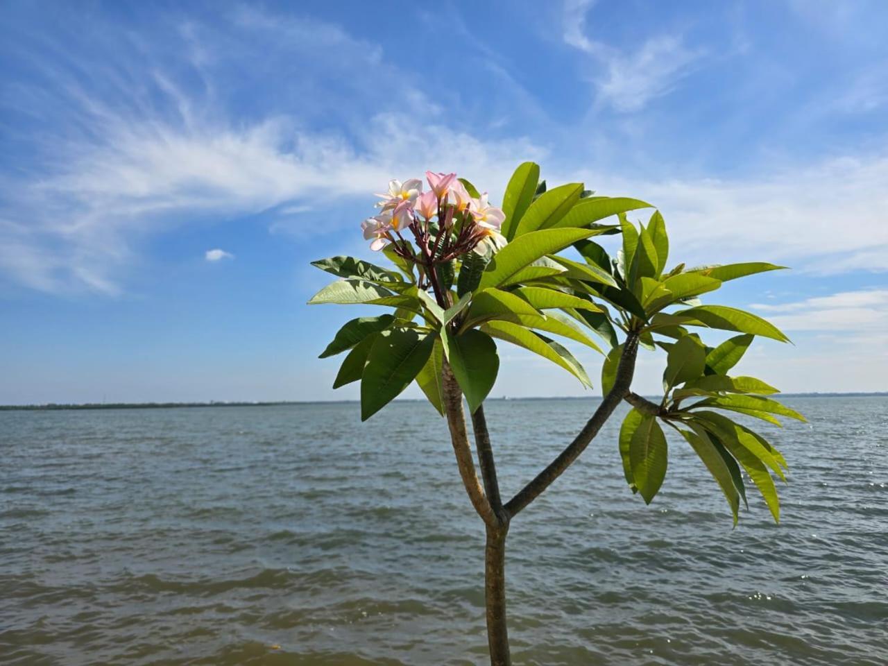 Lagoon Bay Resort Negombo Bagian luar foto